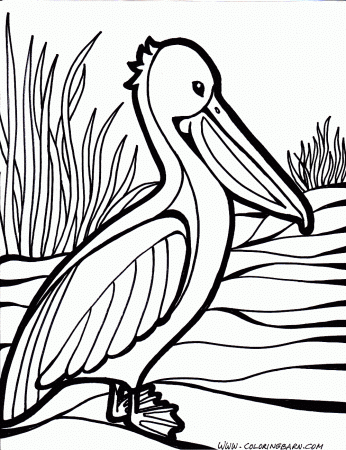 A Pair Of Pelicans Coloring Page - Free Printable Coloring Pages For