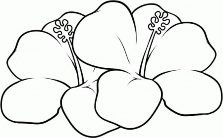 Hawaii Printable - Coloring Pages for Kids and for Adults