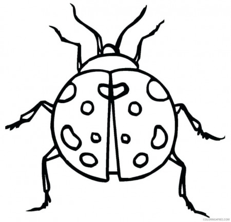 Coloring Pages : Coloring Page Ladybug To Print Outpostsheet ...