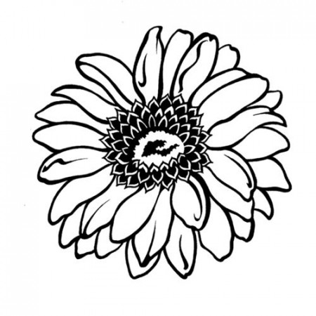 Gerbera Daisy | Daisy drawing