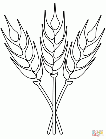 Wheat coloring page | Free Printable Coloring Pages