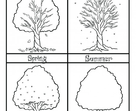 4 Seasons Drawing at GetDrawings | Free download