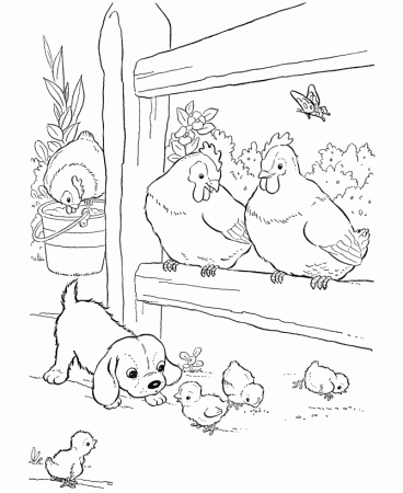 Farm Animal Coloring Pages | Printable Chickens Coloring Page Baby 