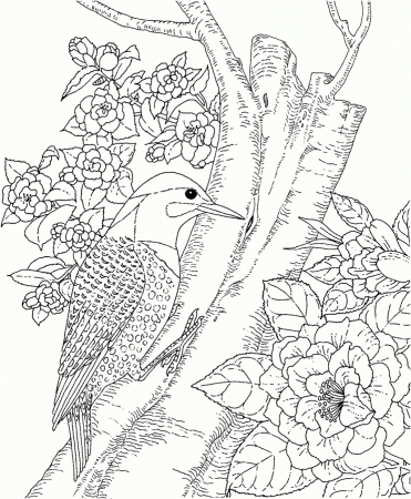 Free Coloring Pages Of Winter Scene Free Nature Scene Coloring ...