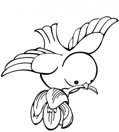 40 Birds Coloring Pages Printable