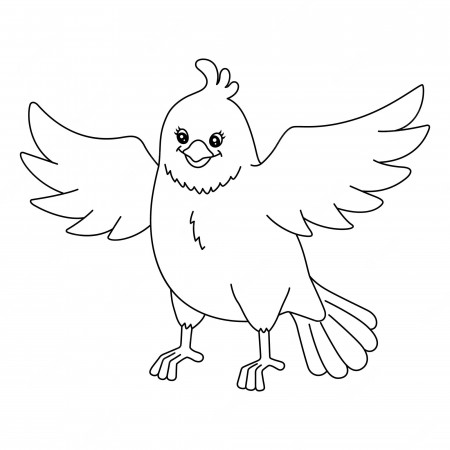 Premium Vector | A cute and funny coloring page of a bird. provides hours  of coloring fun for children. to color, this page is very easy. suitable  for little kids and toddlers.