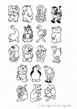 Cute Animals Coloring Pictures - Coloring Pages For Kids And For
