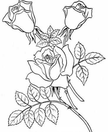 Cool For Adults - Coloring Pages for Kids and for Adults