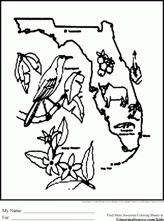Florida animals coloring pages download and print for free