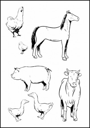farm animal coloring pages printable | www.mindsandvines.com