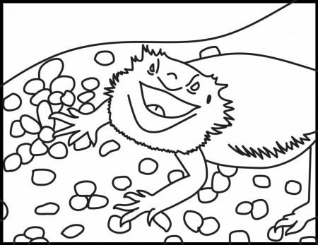 Bearded Dragon Coloring Pages | Roaring Spork