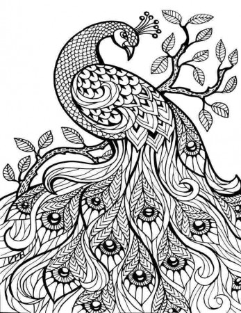Staggering Detailed Animal Coloring Pages Pictures To Print Free For Kids –  azspring