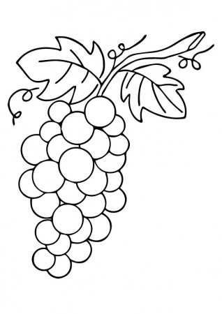 Parentune - Free & Printable Leafy Grapes Coloring Picture, Assignment  Sheets Pictures for Child