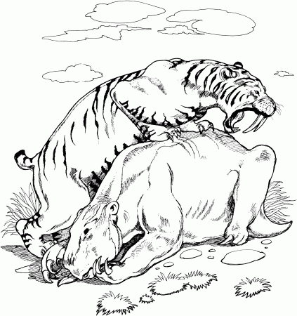 Saber Tooth Tiger Pictures To Print - Coloring Pages for Kids and ...
