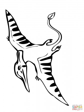 Flying Pteranodon coloring page | Free Printable Coloring Pages