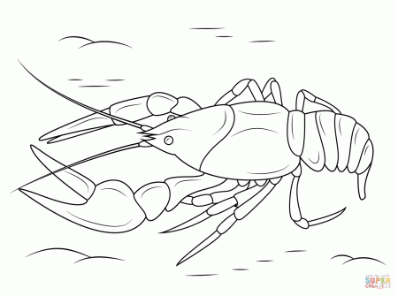Crawfish coloring page | Free Printable Coloring Pages