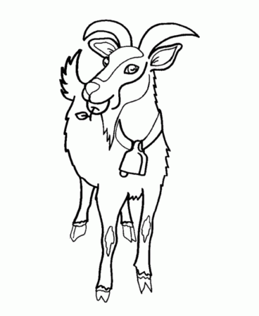 Wild Animal Coloring Pages | Herd of Goats Coloring Page and Kids 