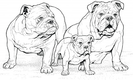 Printable Dog Coloring Pages PDF for Kids - Coloringfolder.com | Dog  coloring page, Puppy coloring pages, Dog coloring book
