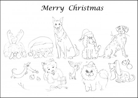 Design Your Own Christmas Cards