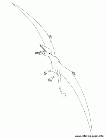 Print pterodactyl dinosaur 2 Coloring pages Free Printable