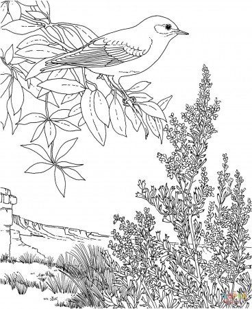 Nevada coloring pages