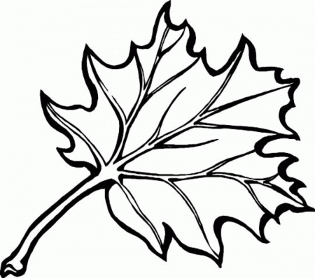 Fall Leaves Coloring Pages for Pinterest