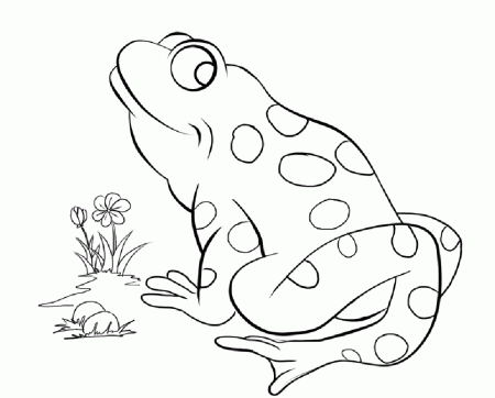 Printable Frog Coloring Pages Kids - Colorine.net | #1630