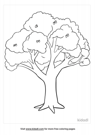 Oak Tree Coloring Pages | Free Nature Coloring Pages | Kidadl