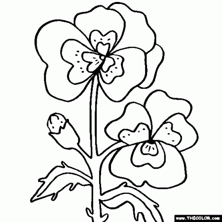 Pansy Flower Coloring Page | Color Pansies | Flower coloring pages, Coloring  pages, Printable flower coloring pages