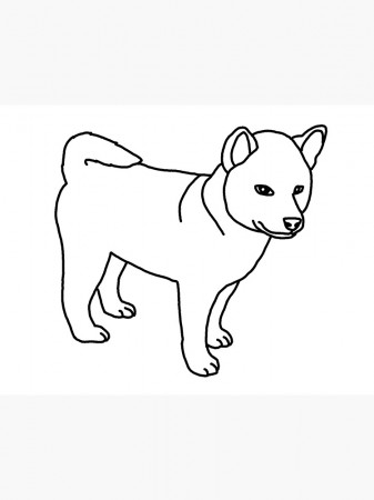 Shiba Inu, puppy, dog, drawing