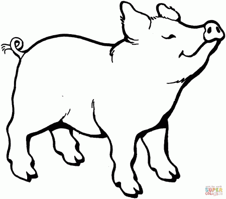 Funny creature 26 pig coloring pages for kids - Print Color Craft