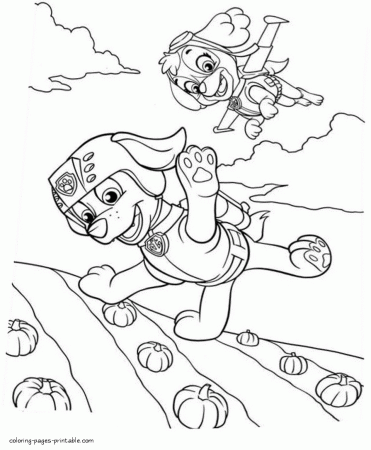 Free printable coloring pages Paw Patrol. Zuma and Skye ...