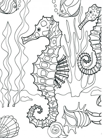 Coloring Page Ocean Underwater Pages Seahorse Adult Sea Creatures ...