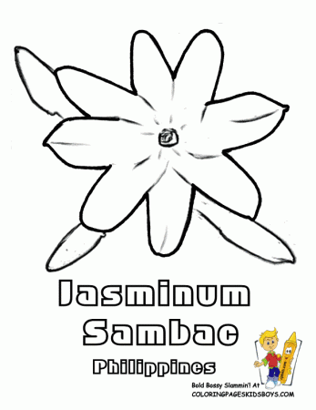 Jasminum Sambac Flower Coloring Sheet | Unit Study - Asia ...