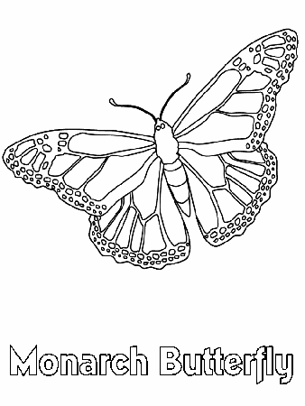 Monarch Butterfly Coloring Book Page