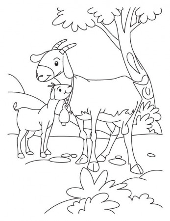 Goat and Kid coloring page | Download Free Goat and Kid coloring 