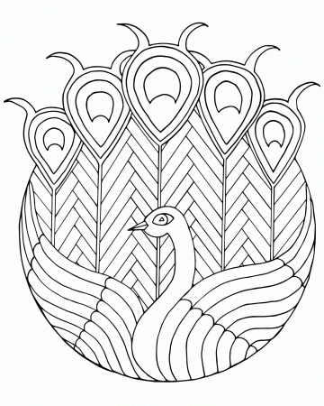 FREE Peacock Stained Glass Adult Coloring Page