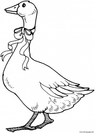 Goose With Ribbon Printable Animal S5f3c Coloring Pages Printable
