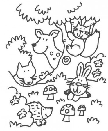 forest animal coloring pages to print | Animal coloring pages, Forest coloring  pages, Animal coloring books
