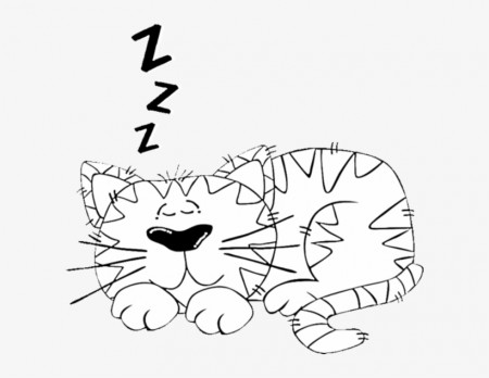 Cartoon Cat Sleeping Coloring Page - Cartoon Cats - Free Transparent PNG  Download - PNGkey