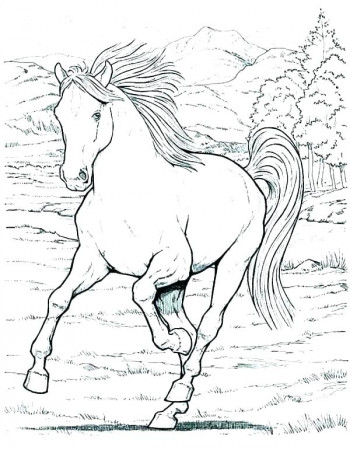 coloring pictures of horses – vimefulland.co
