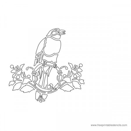 Printable Bird Stencils Parrots, Eagles, Heron, Pelican Birds ...