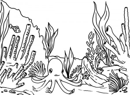 free coral reef coloring pages az coloring pages 5irebpaia. coral ...