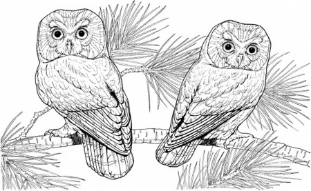 Coloring Book : Coloring Pages Hard Animals Toint For ...