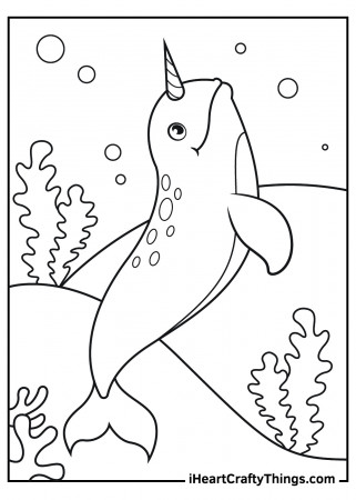 Narwhal Coloring Pages (Updated 2023)
