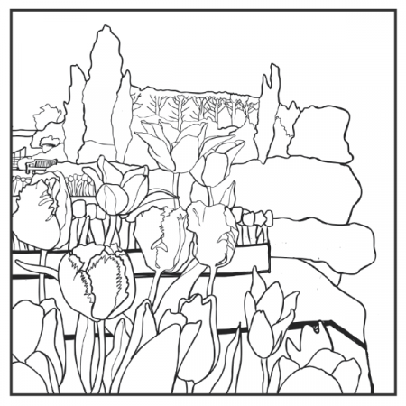 Coloring Pages | Chicago Botanic Garden