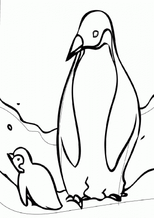 Adelie Penguin Coloring Pages | Best Coloring Page Site