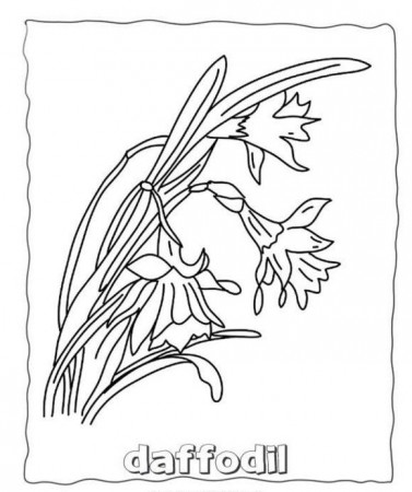 Flowers Coloring Pages Daffodils Free | Flower Coloring pages of ...