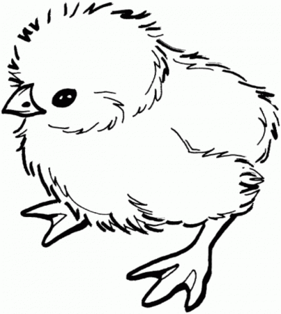 Easter Chicks Coloring Pages : Baby Chick Preschool Coloring Pages ...