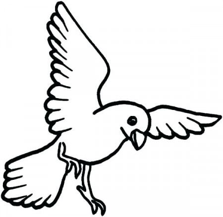 Free Bird Coloring Pages PDF - Coloringfolder.com | Bird coloring pages,  Animal coloring pages, Coloring pages